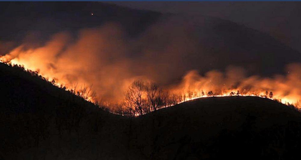 Wildfire in the mountain. Free public domain CC0 photo.