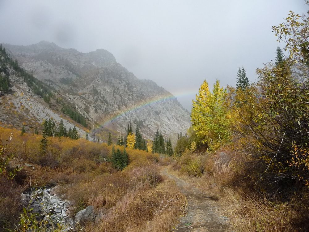 Rainbow at West Fork Pine Creek, Wallowa-Whitman National ForestForest Service Photo by J Carnahan. Original public domain…