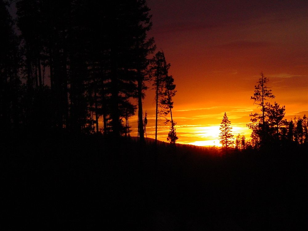 Sunset On the Wallowa-Whitman National ForestForest Service Photo by D Taylor. Original public domain image from Flickr