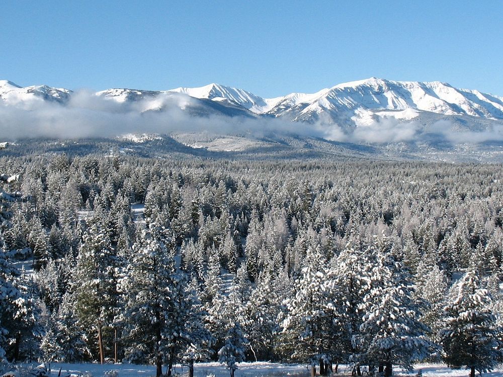 Mountain Range and Forest in Winter, Wallowa-Whitman National Forest. Original public domain image from Flickr