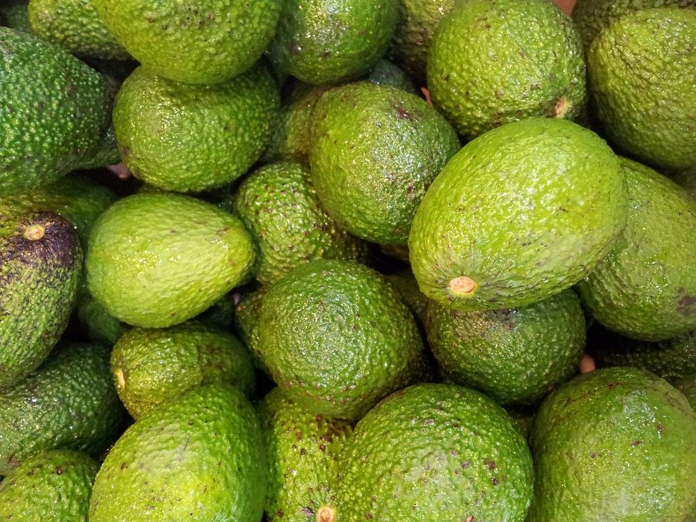 Closeup on pile of fresh avocados. Free public domain CC0 image.