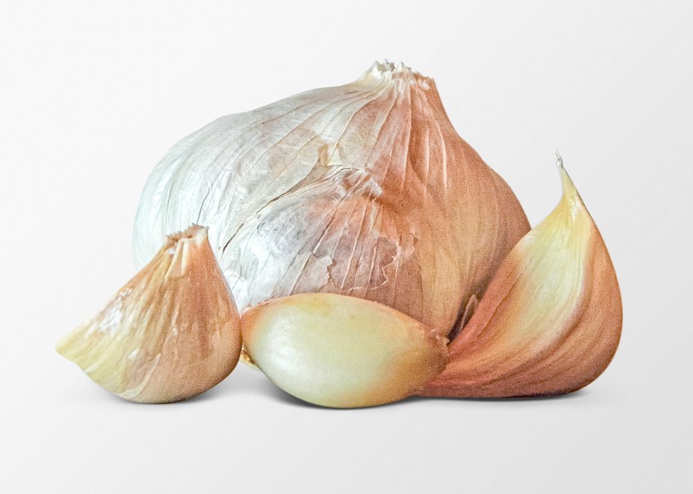 Garlic clipart, vegetable, food ingredient