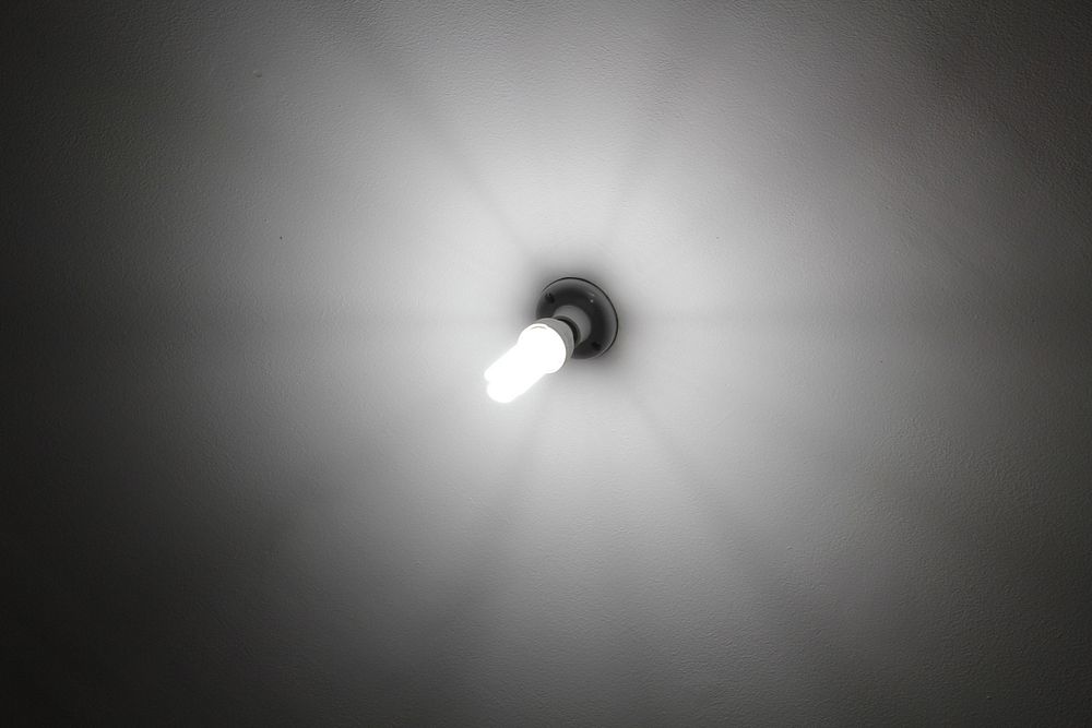 Light bulb. Free public domain CC0 photo.