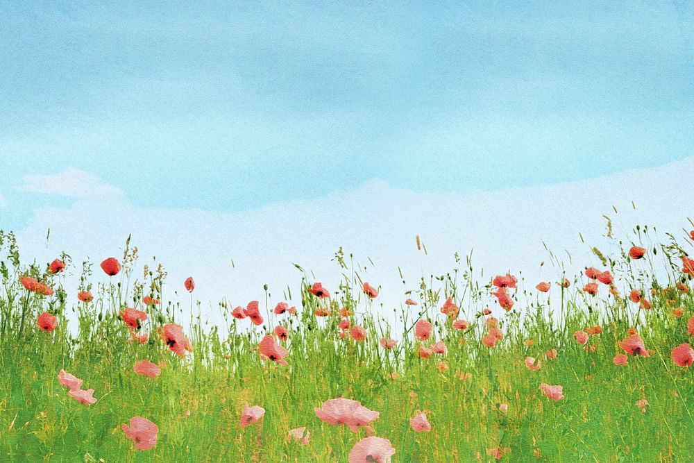 Poppy field background, aesthetic design psd