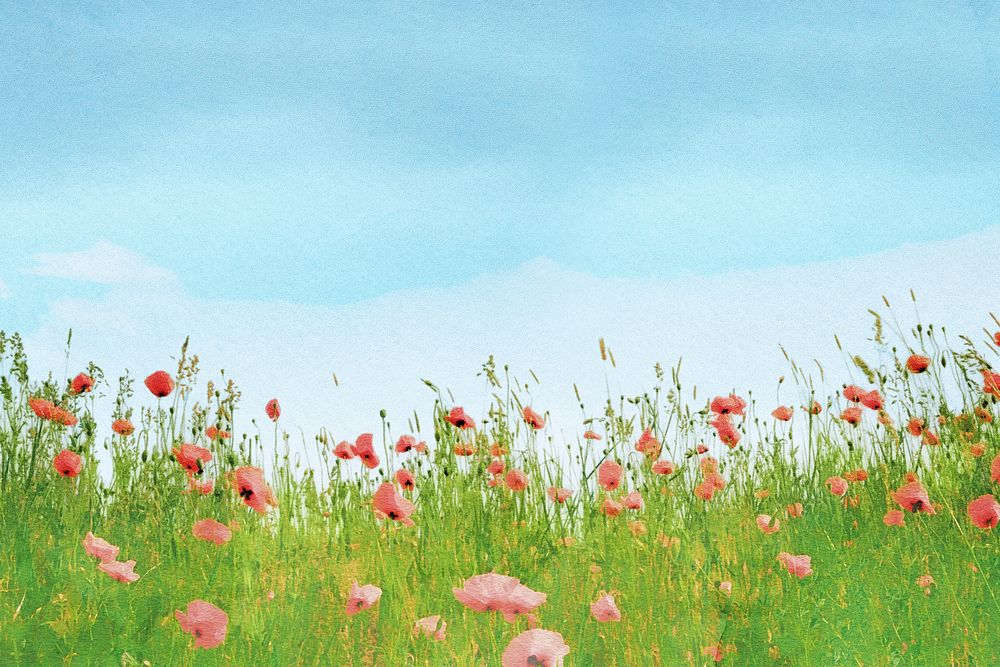 Poppy field background, aesthetic design