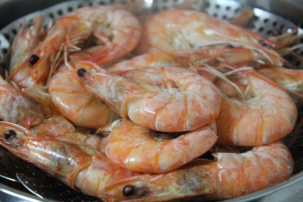 Boiled shrimp. Free public domain CC0 photo.