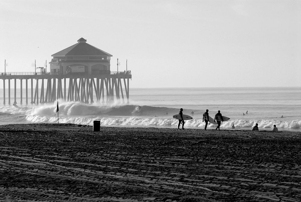 Surfers at the beach, sports photography. Free public domain CC0 image.