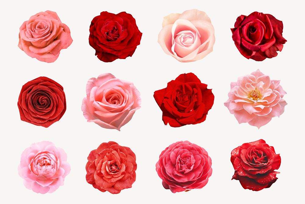 Red & pink flower clipart, isolated object psd set