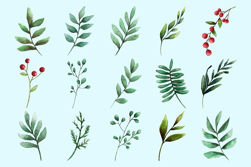Aesthetic leaf sticker, watercolor winter botanical illustration set psd