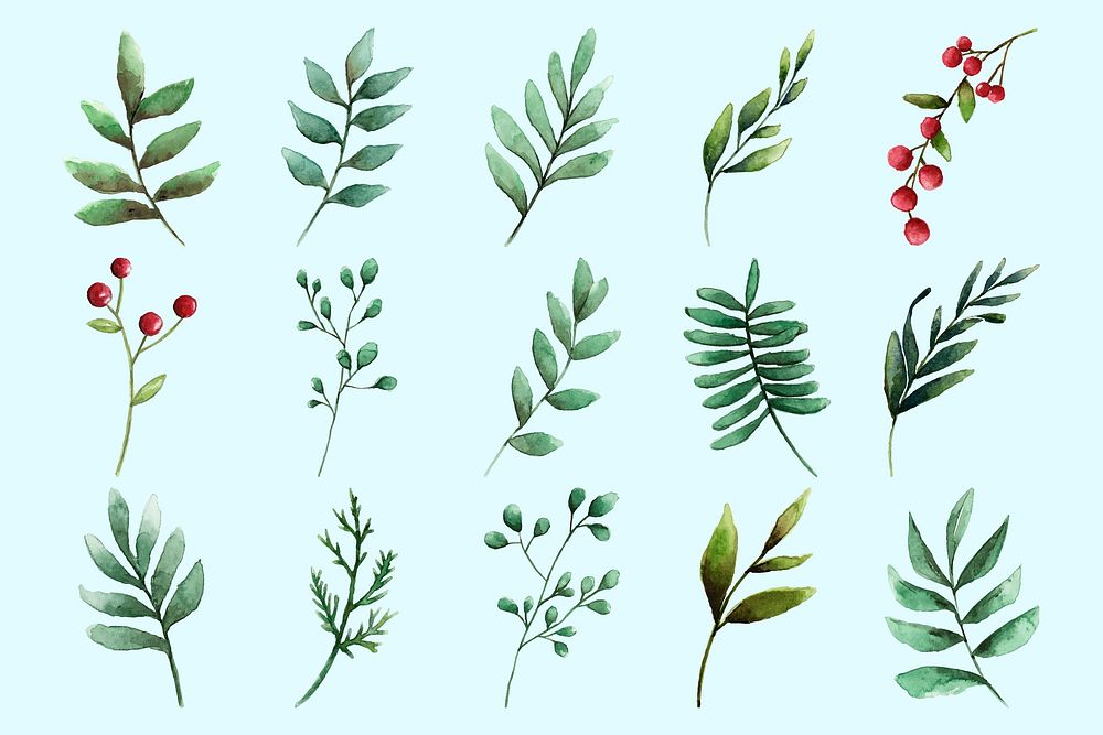 Green leaf sticker, watercolor winter botanical illustration set vector