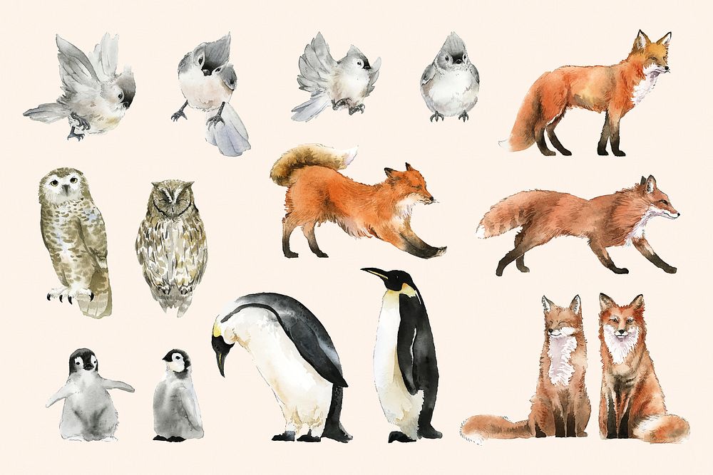 Watercolor animal sticker, winter wildlife illustration set psd
