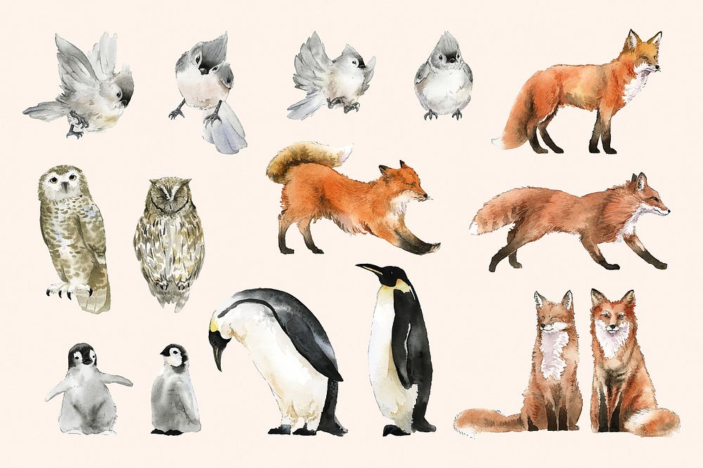 Watercolor animal sticker, winter wildlife illustration set vector