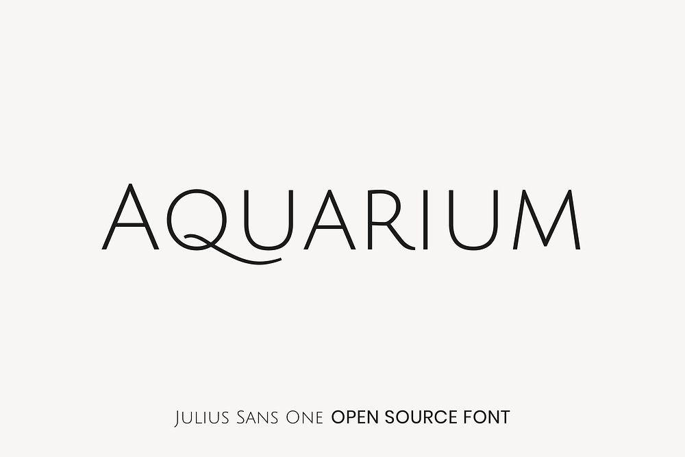 Julius Sans One open source font by Luciano Vergara