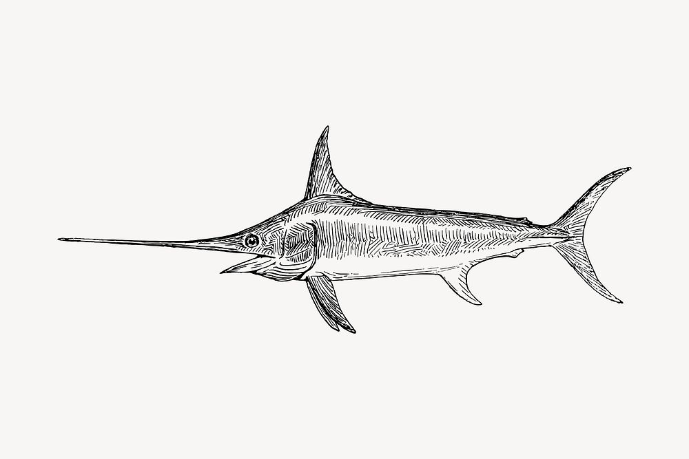 Swordfish, animal clipart vector. Free public domain CC0 graphic