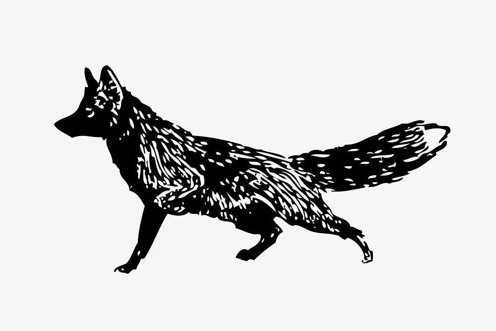 Black fox, vintage animal illustration vector. Free public domain CC0 graphic