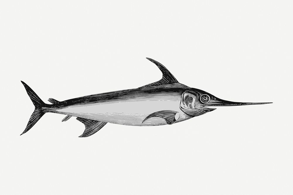 Swordfish animal collage element, vintage illustration psd. Free public domain CC0 image.