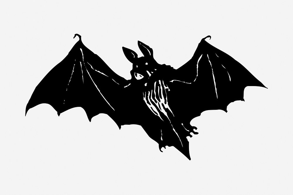 Flying bat hand drawn illustration. Free public domain CC0 image.