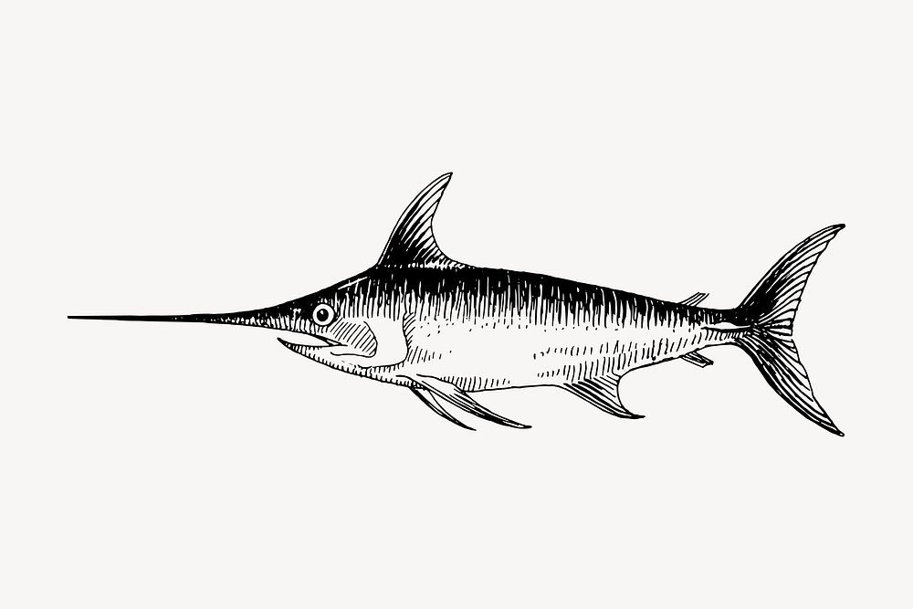 Swordfish drawing, vintage sea animal illustration vector. Free public domain CC0 image.