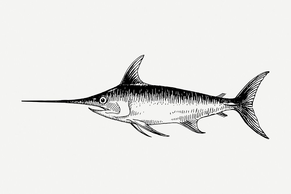 Swordfish drawing, vintage hand drawn sea animal illustration psd. Free public domain CC0 image.