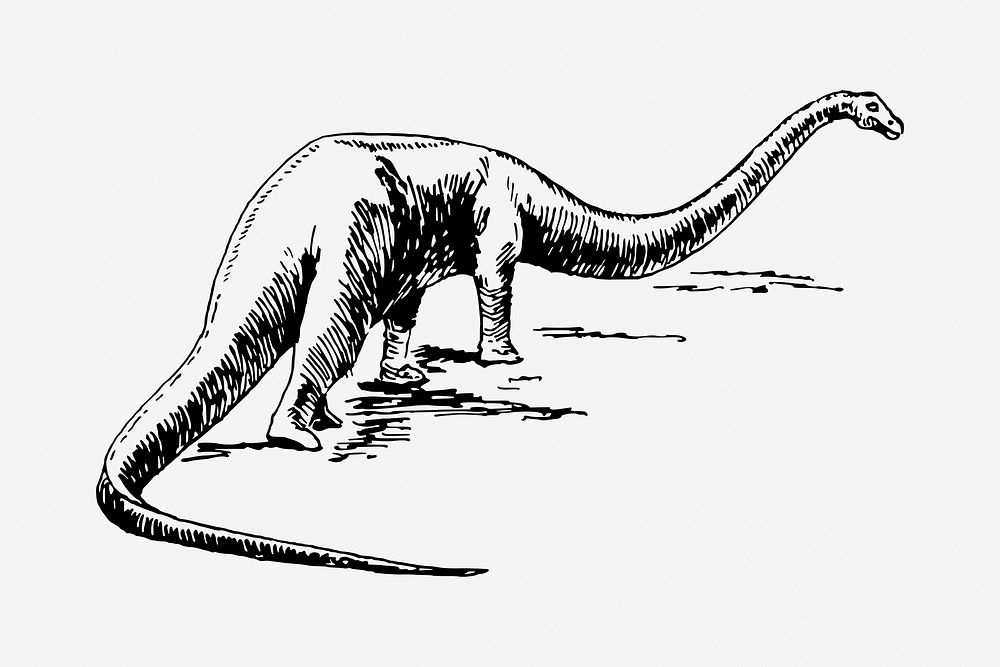 Vintage dinosaur drawing, extinct animal illustration. Free public domain CC0 image.