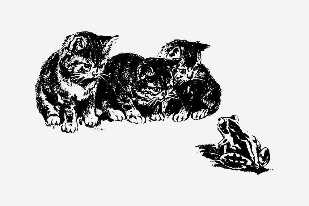 Kittens watching frog drawing, vintage animal illustration. Free public domain CC0 image.