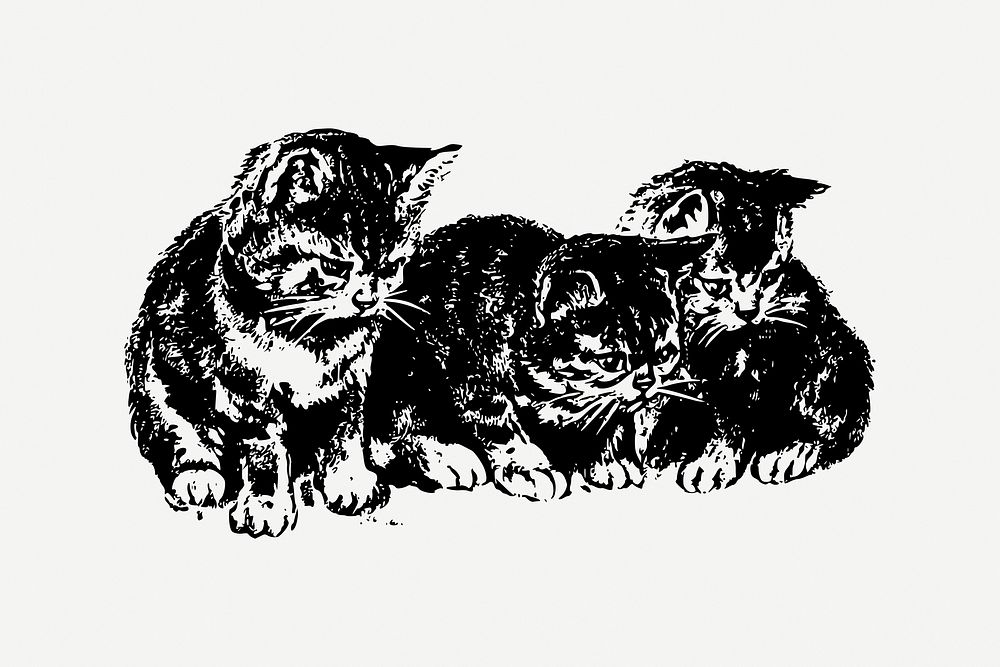 Vintage kittens drawing clipart, animal illustration psd. Free public domain CC0 image.