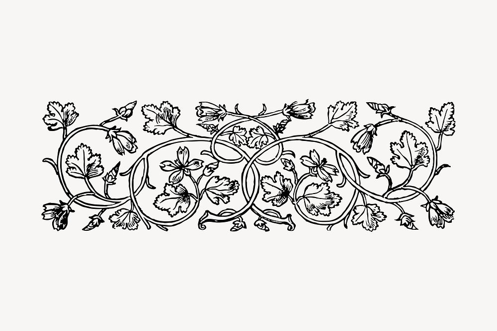 Floral ornament divider hand drawn clipart, flower illustration vector. Free public domain CC0 image.