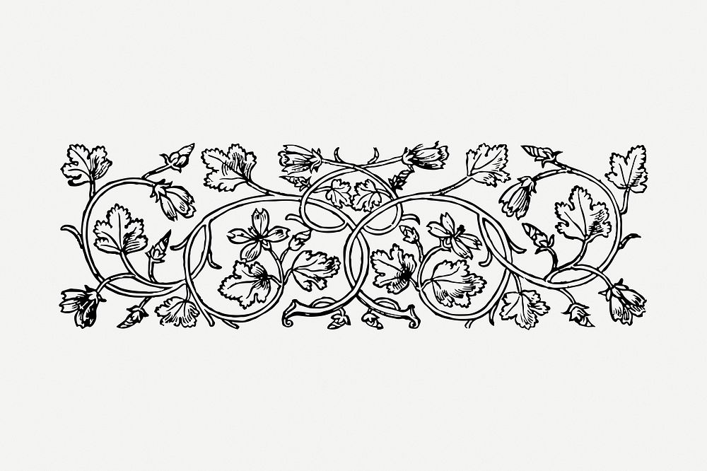 Floral ornament divider drawing clipart, flower illustration psd. 