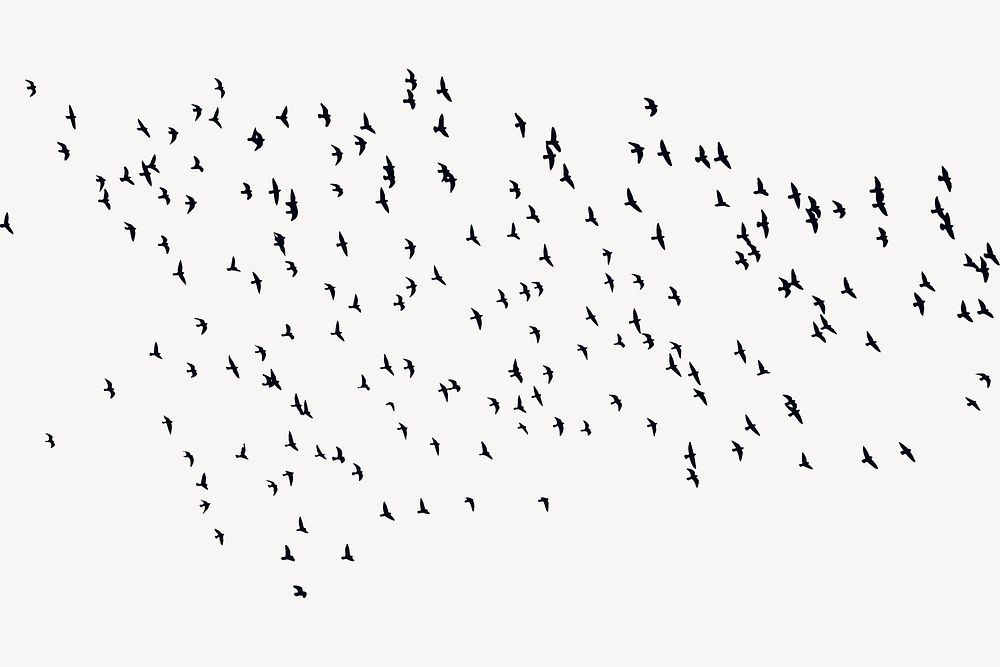 Flying birds silhouette background, animal illustration in black vector. Free public domain CC0 image.