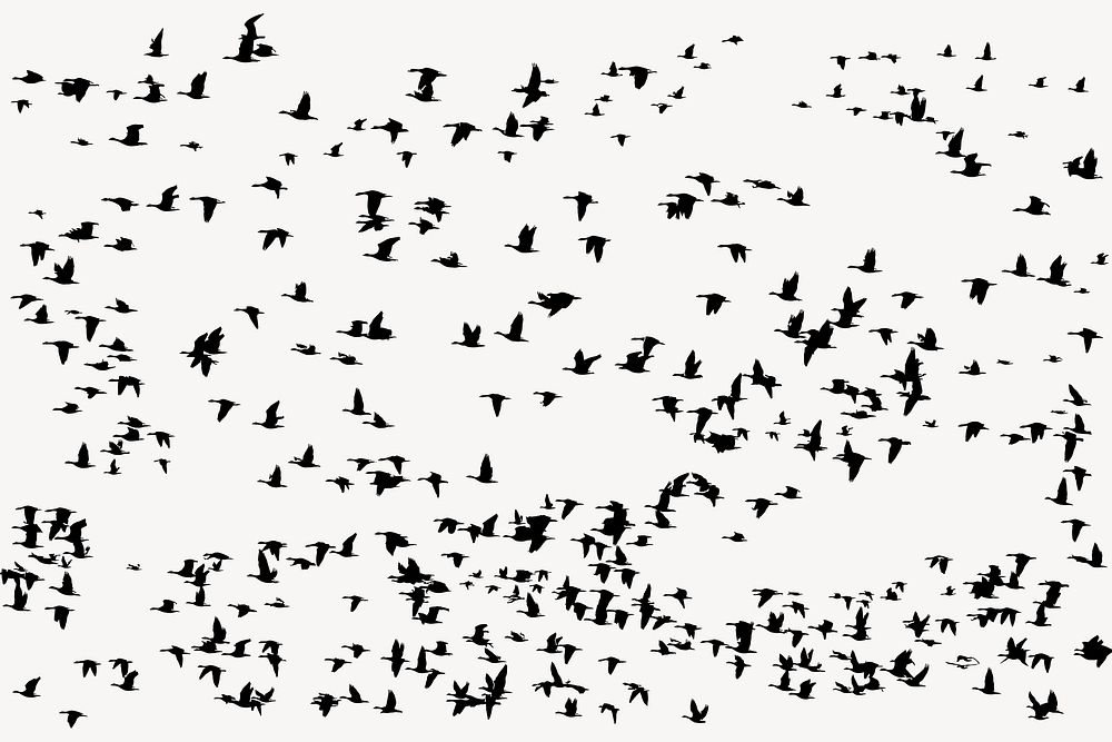 Flying birds silhouette background, animal illustration in black vector. Free public domain CC0 image.