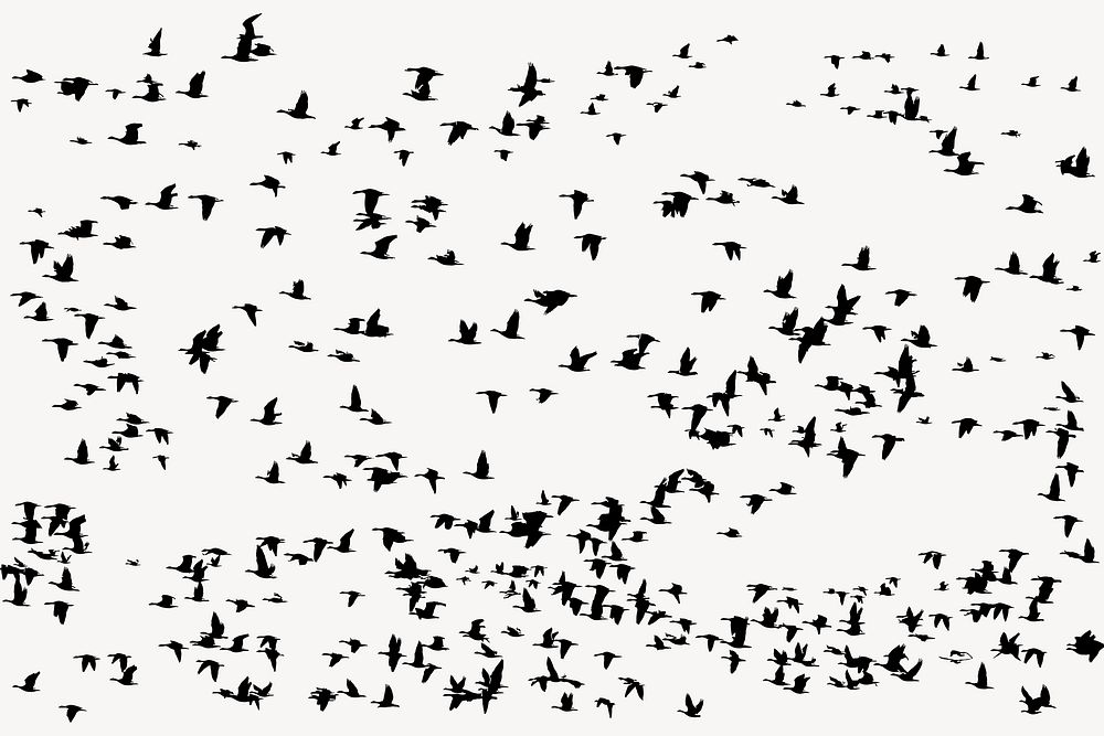 Flying birds silhouette background, animal illustration in black. Free public domain CC0 image.