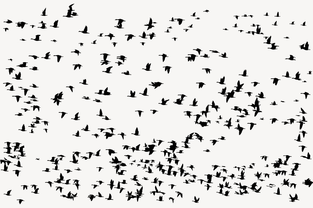 Flying birds silhouette background, animal illustration psd. Free public domain CC0 image.