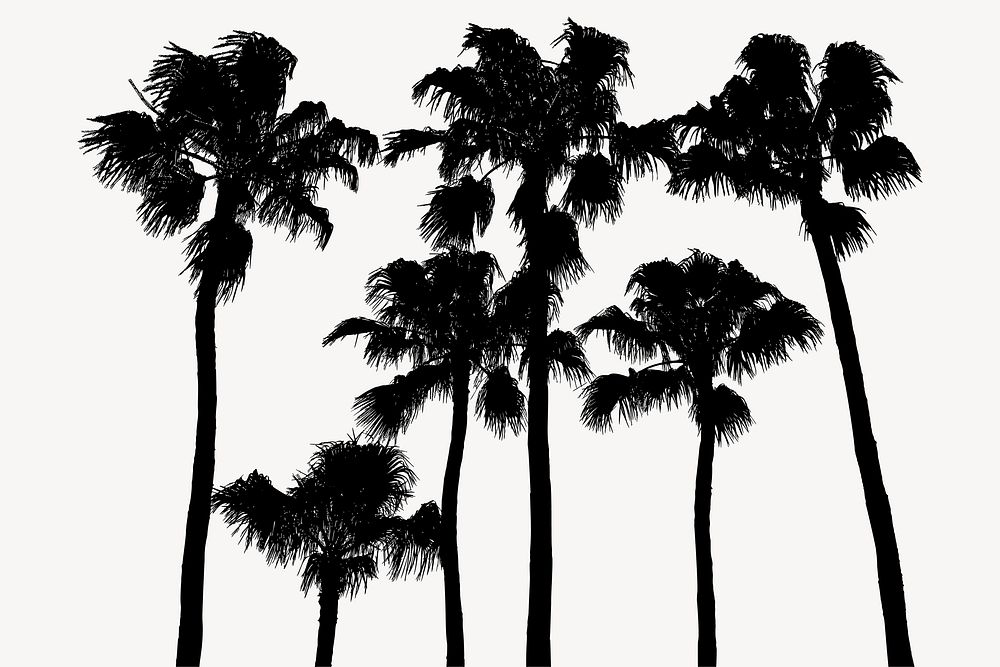 Palm trees silhouette clipart, nature illustration in black. Free public domain CC0 image.