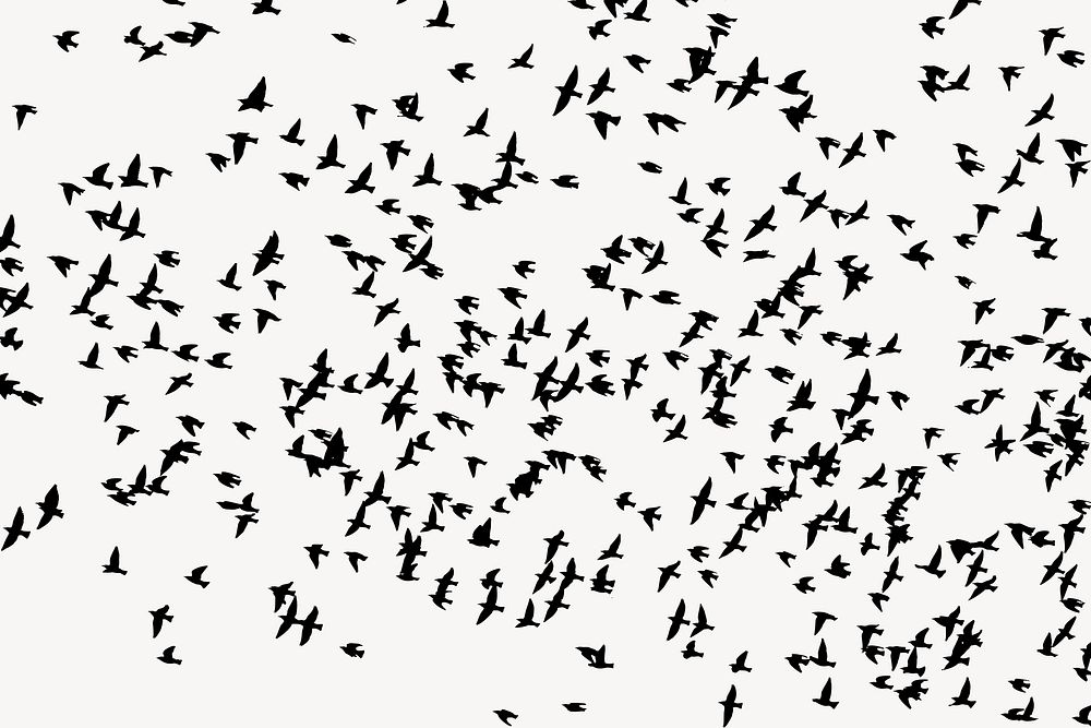 Flying birds silhouette background, animal illustration in black. Free public domain CC0 image.