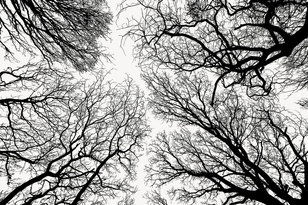 Leafless trees silhouette background, nature illustration psd. Free public domain CC0 image.