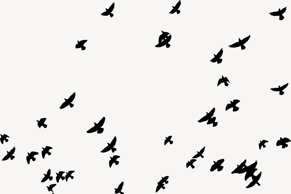 Flying birds silhouette background, animal illustration in black. Free public domain CC0 image.