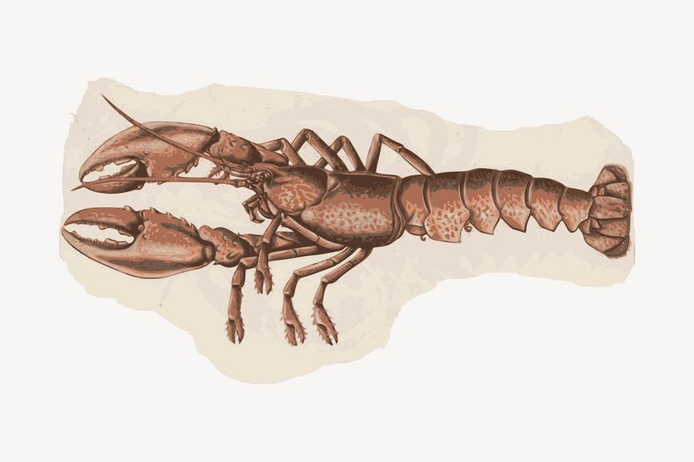 Lobster sticker, food illustration psd. Free public domain CC0 image.
