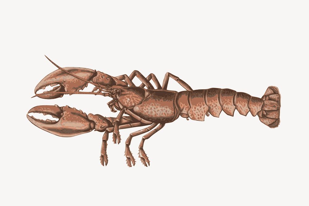 Lobster clipart, animal illustration vector. Free public domain CC0 image.