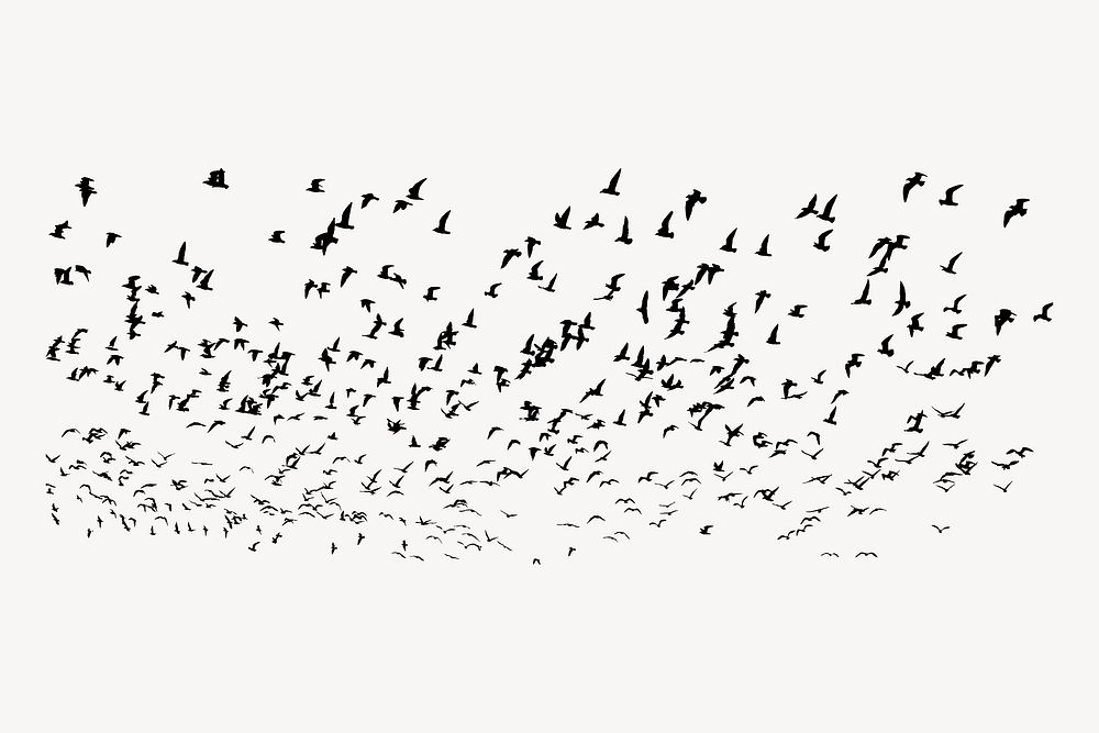 Flying birds, abstract white background vector. Free public domain CC0 image.