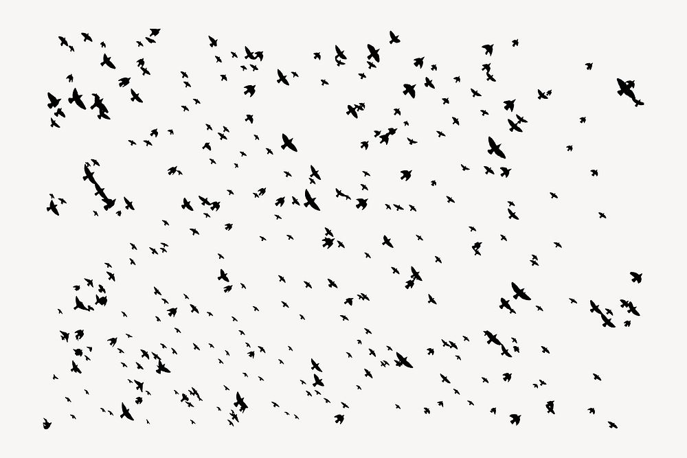 Flying birds, abstract white background vector. Free public domain CC0 image.
