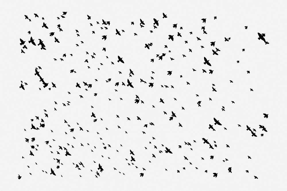 Flying birds, abstract white background psd. Free public domain CC0 image.