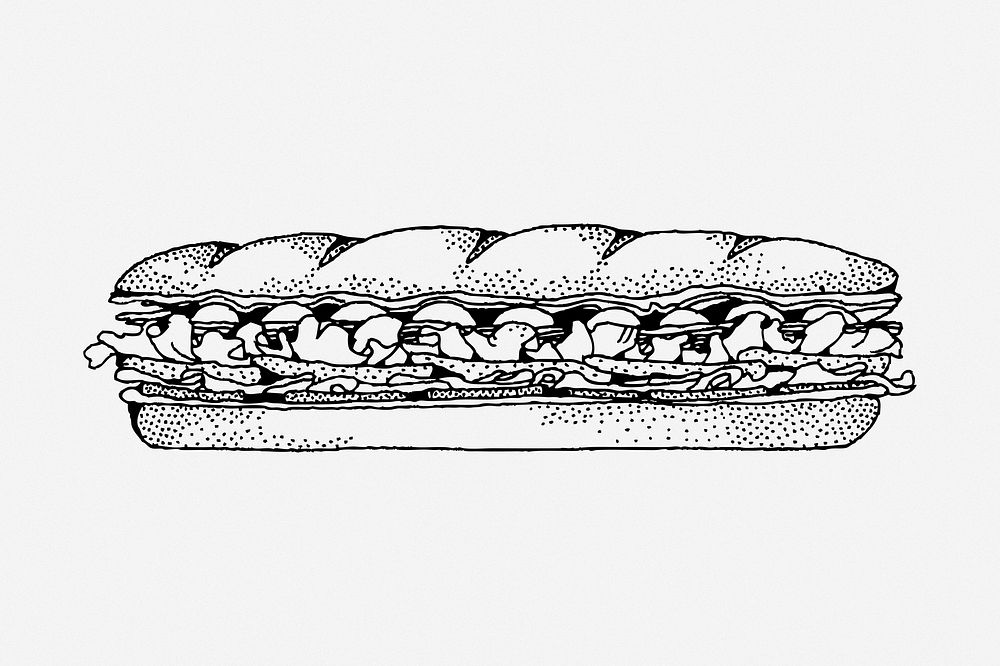 Baguette sandwich hand drawn illustration. Free public domain CC0 image.