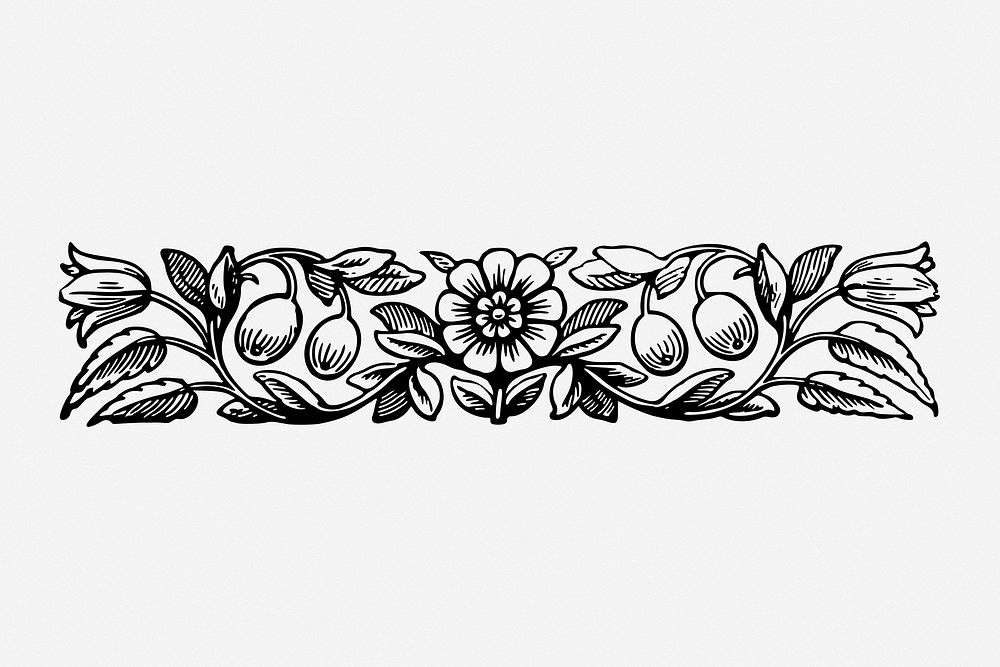 Floral border drawing, divider vintage illustration. Free public domain CC0 image.