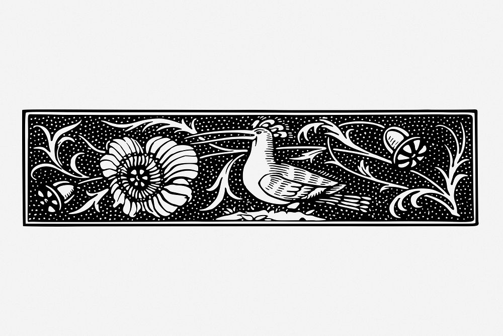 Bird ornament divider, vintage animal border illustration. Free public domain CC0 image.