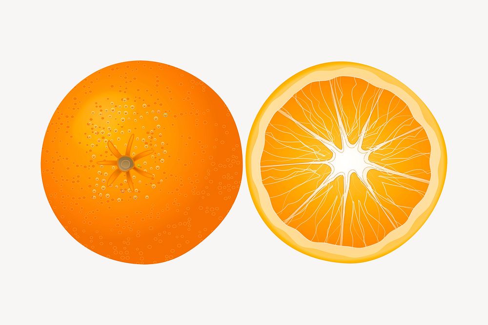 Orange, fruit clip art color illustration. Free public domain CC0 image.