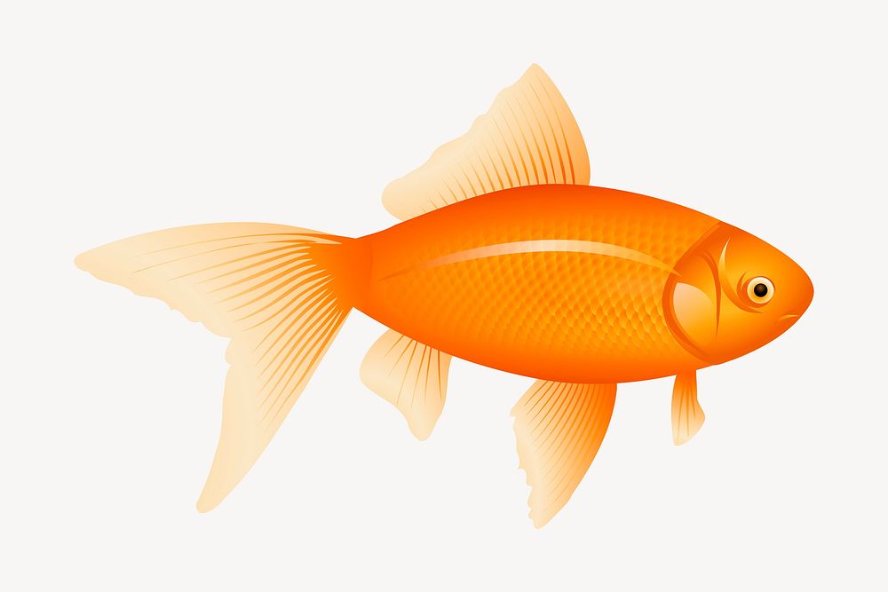 Goldfish pet clipart, collage element illustration psd. Free public domain CC0 image.