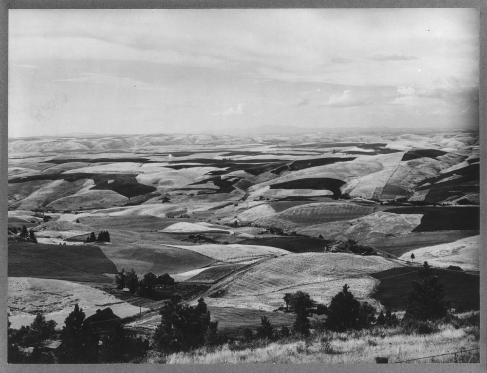 Wheat fields from Winchester Hill. Nez Perce County, Idaho by Russell Lee