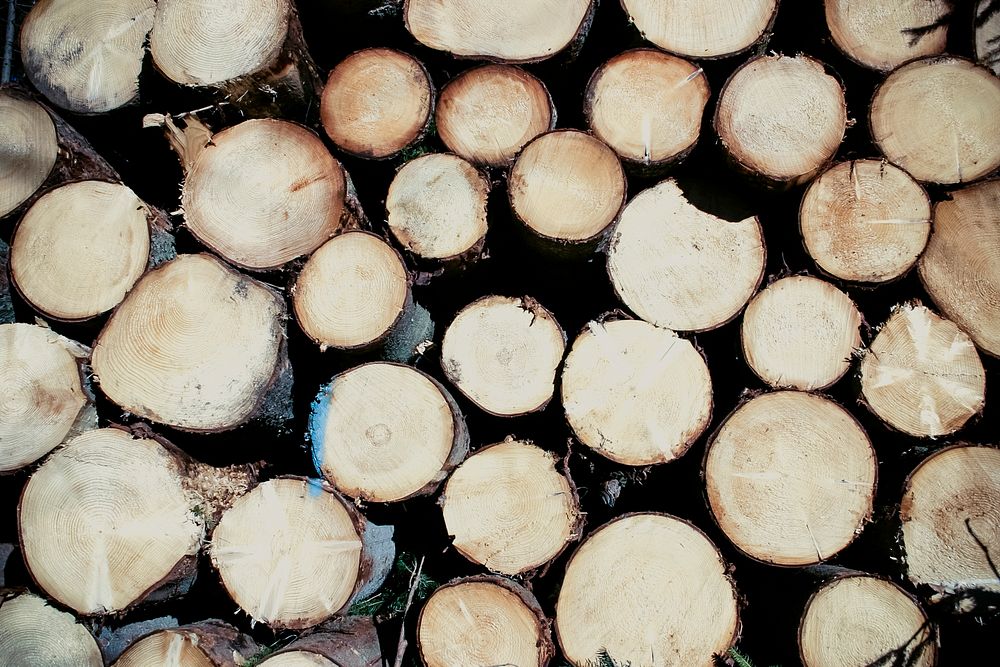 Close up of a stacked timber