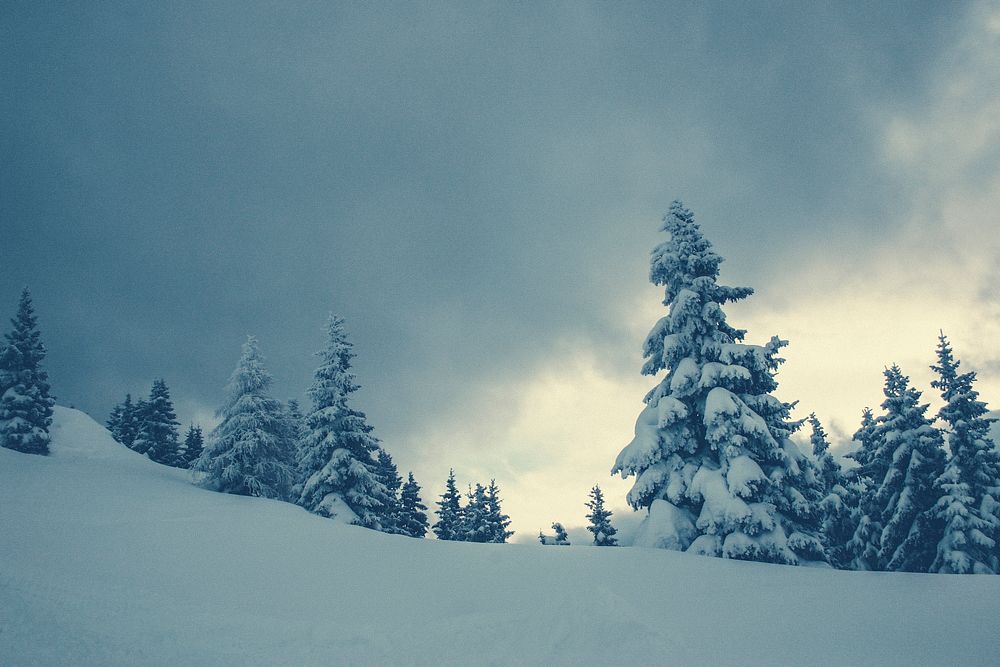 Winter mountain landscape in the Alps