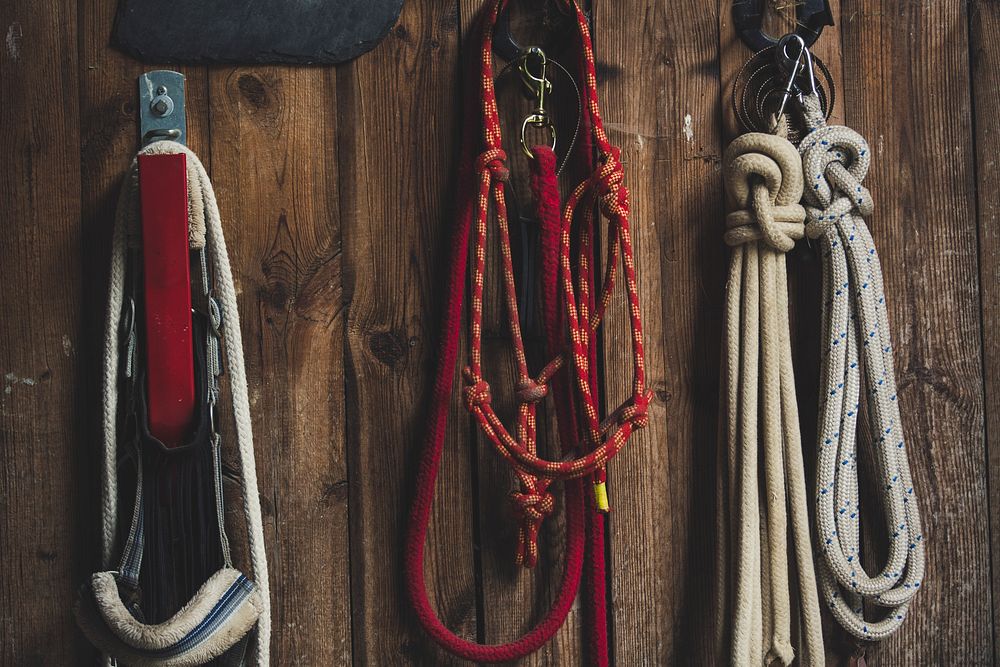 Different types of ropes hanging on the wall